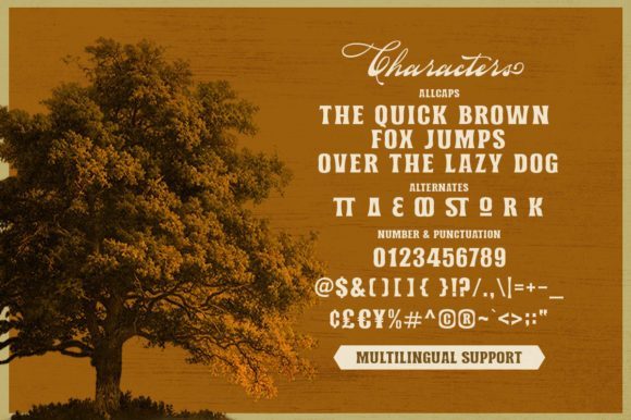 Norvin Font font preview - 5