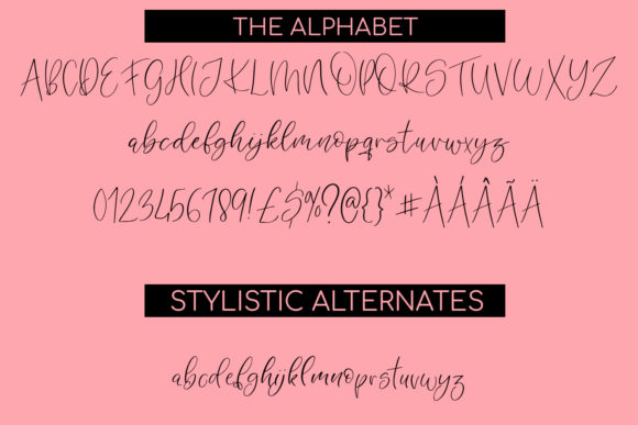 Angelina Font - Preview 1
