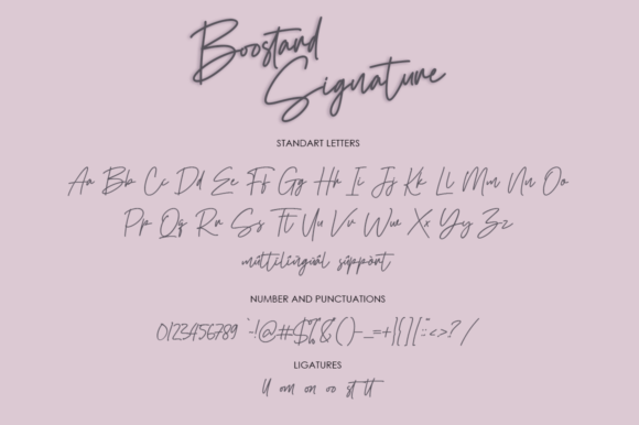 Boostard Signature Font - Preview 6