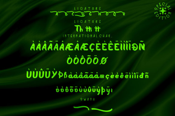 Chris Oliver Font - Preview 6