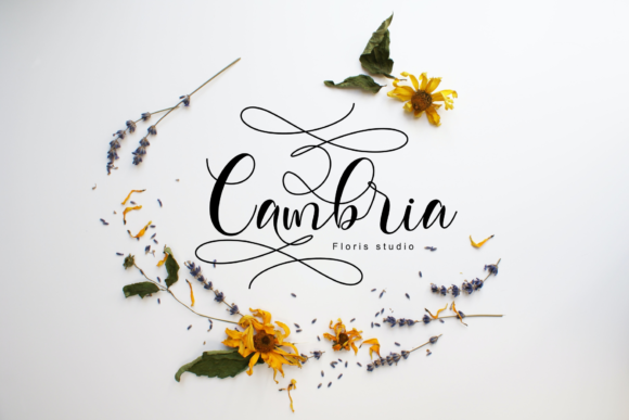 Geisha Font - Preview 1