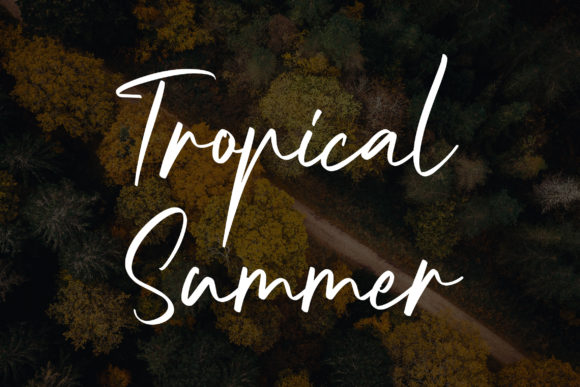 Nightlife Font font preview - 1