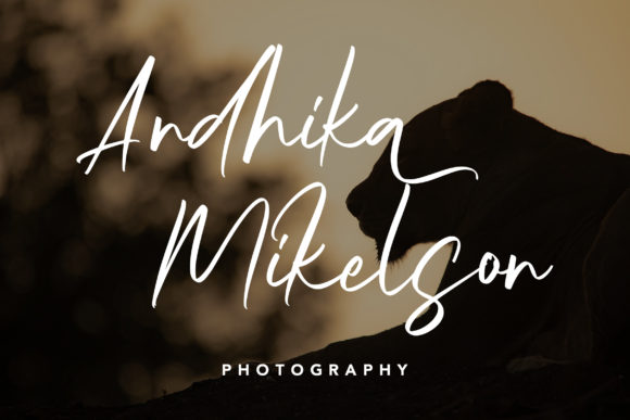 Nightlife Font font preview - 3