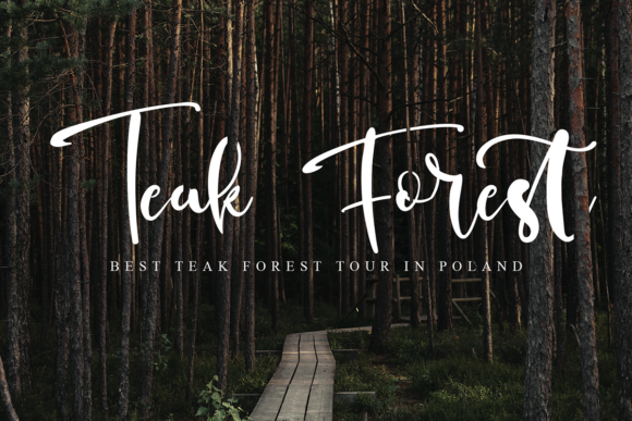 Panny Castie Font PNG with transparent background - Preview 6
