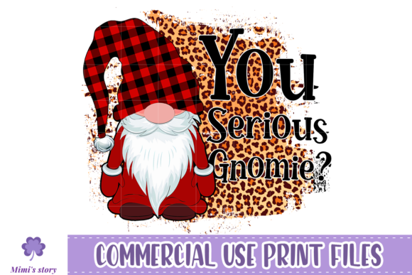 You Serious Gnome Illustration Artisanat Par Mimi's story