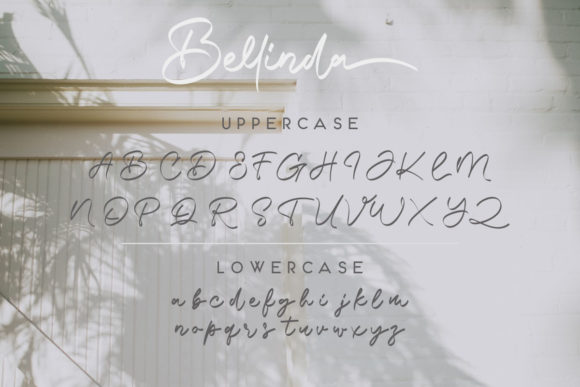 Bellinda Font - Preview 6
