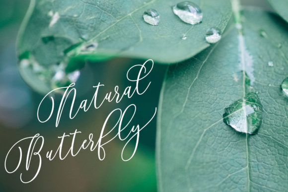 Barbara Script Font - Preview 5