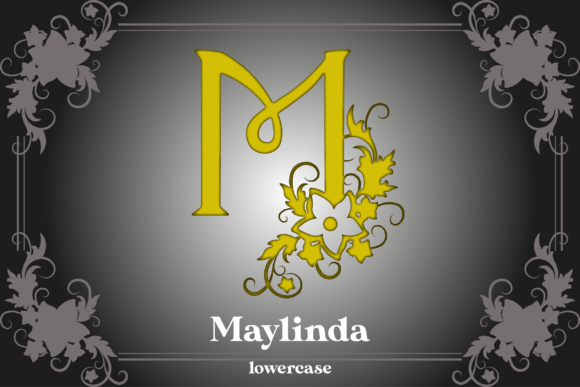 Delima Ornament Font PNG with transparent background - Preview 2