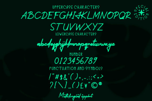 James Theodore Font - Preview 5