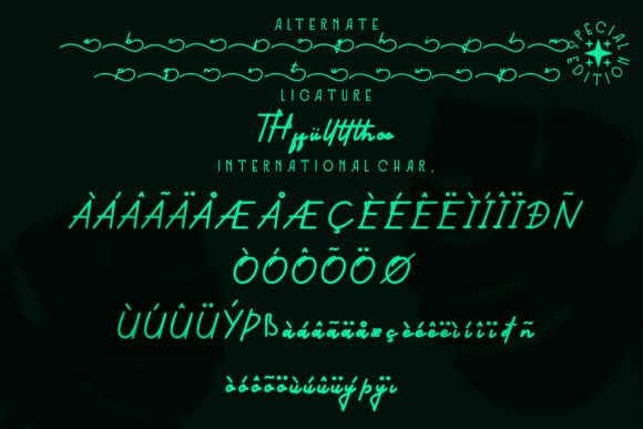 James Theodore Font - Preview 6