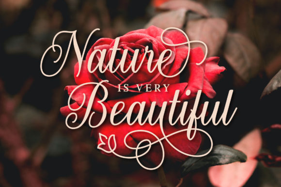 Lovely Floristha Font PNG with transparent background - Preview 5