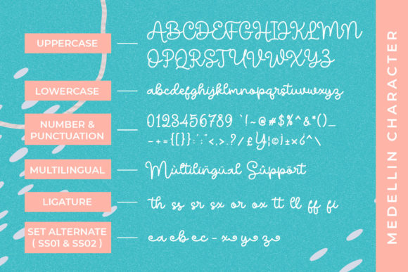 Medellin Script Font PNG with transparent background - Preview 5