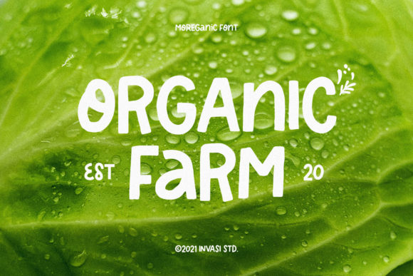 Moreganic Font PNG with transparent background - Preview 3