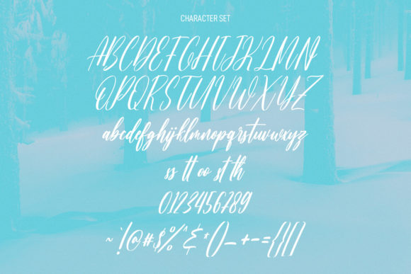 Beauty Snowy Script Font - Preview 5