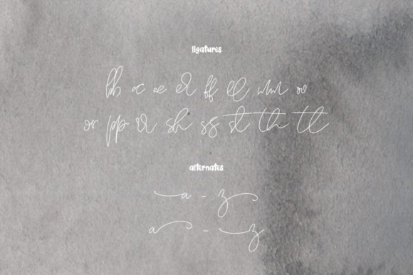 Canadien Monreal Font - Preview 4