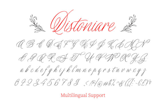 Distoniare Script Font PNG with transparent background - Preview 4