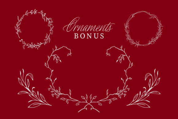 Distoniare Script Font PNG with transparent background - Preview 6