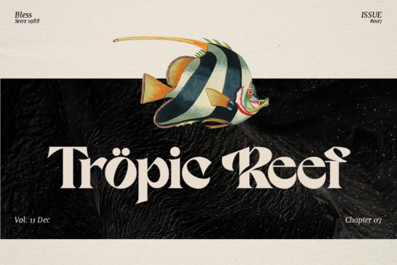Nambya Font Font PNG with transparent background - Preview 1
