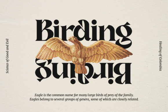 Nambya Font Font PNG with transparent background - Preview 2