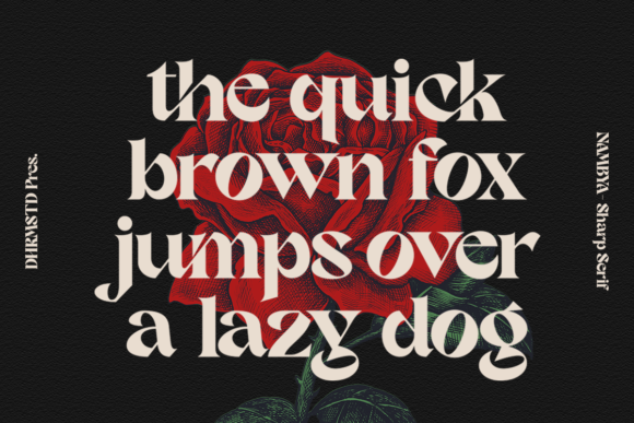 Nambya Font Font PNG with transparent background - Preview 3
