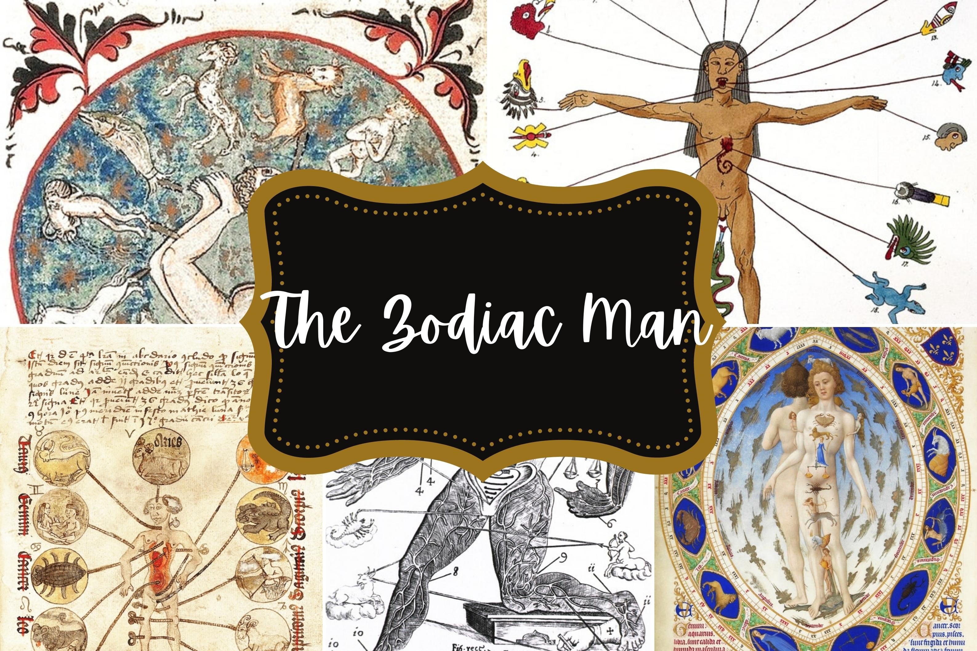 The Zodiac Man Graphic by Millie Her Majesty · Creative Fabrica