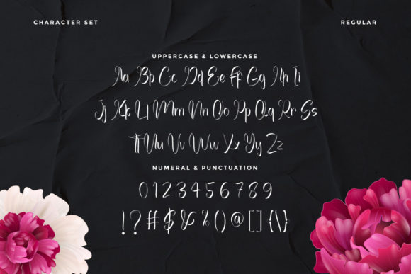 Achilleas Font - Preview 3