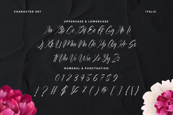 Achilleas Font - Preview 5