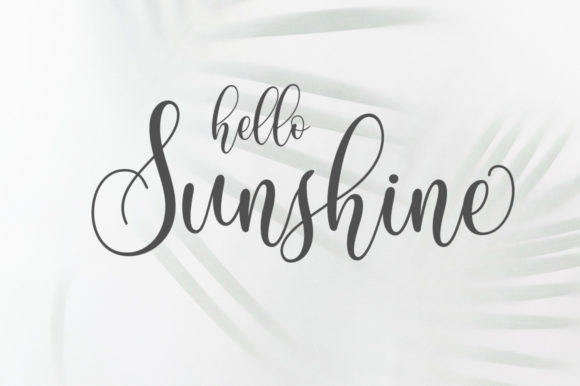Amelia Script Font - Preview 3