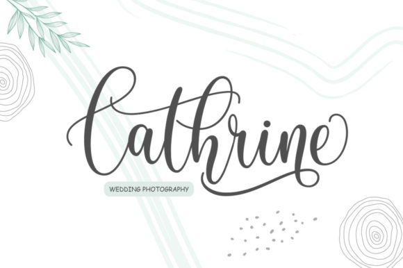 Amelia Script Font - Preview 5