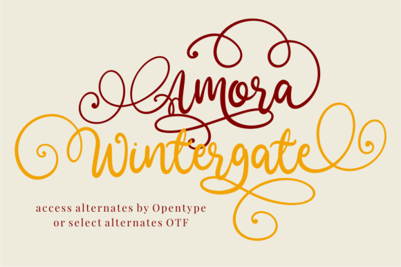 Amora Wintergate Font - Preview 1