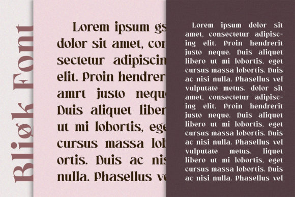 Bligk Font - Preview 5