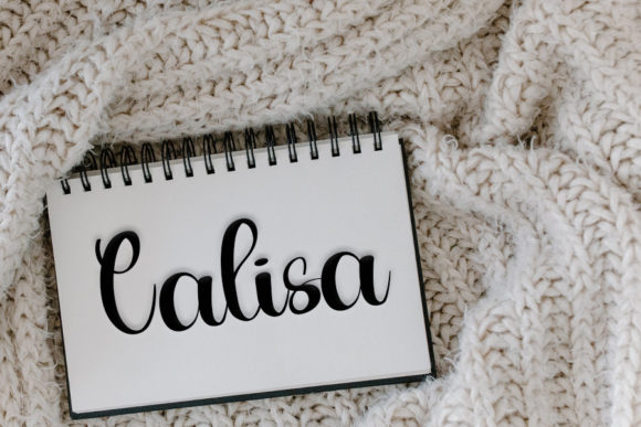 Erlangga Font - Preview 3