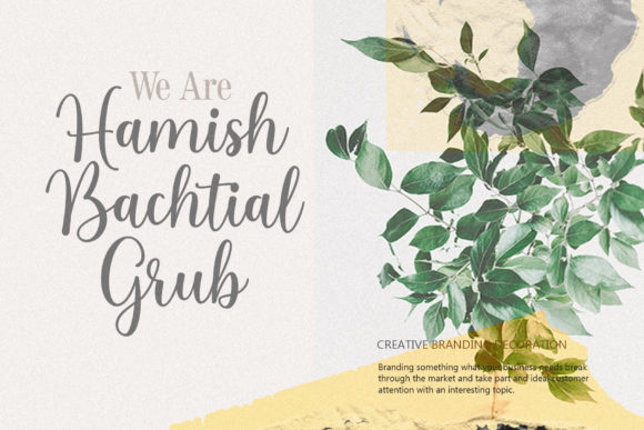 Alicia Geraldine Font - Preview 1