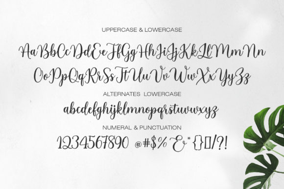 Alicia Geraldine Font - Preview 5