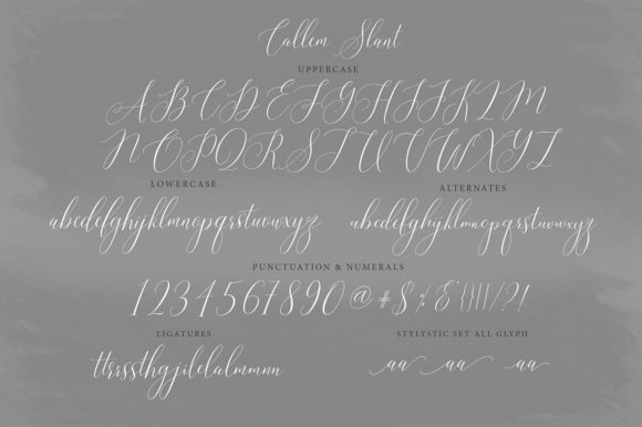 Callem Script Font - Preview 5