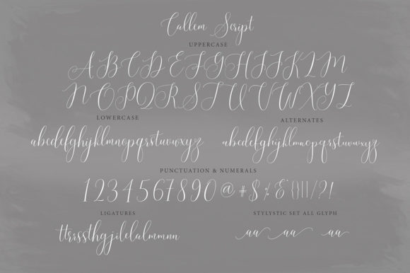 Callem Script Font - Preview 6