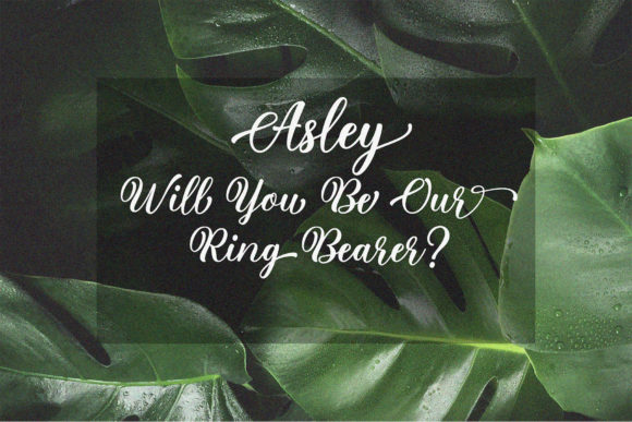 Plural Script Font PNG with transparent background - Preview 3