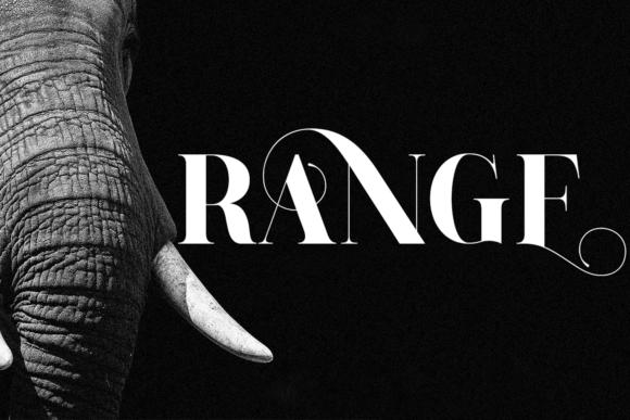 Andrew Elegant Font - Preview 4