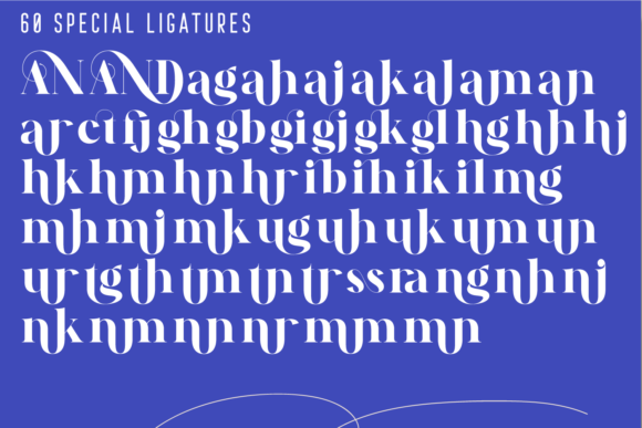 Andrew Elegant Font - Preview 6