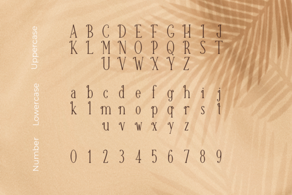 Canabi Font - Preview 1