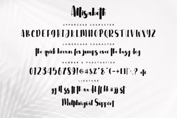 Allisabeth Font - Preview 5