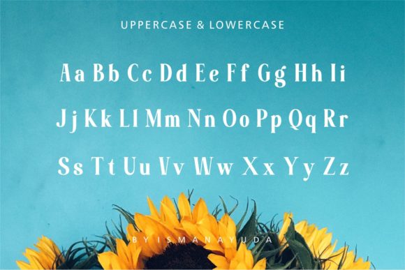 Balimore Font - Preview 6