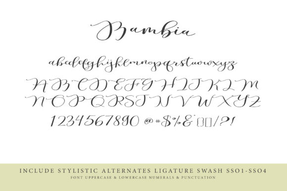 Bambia Calligraphi Font - Preview 6