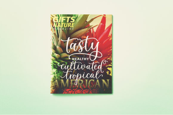 Cabelita Script Font - Preview 3