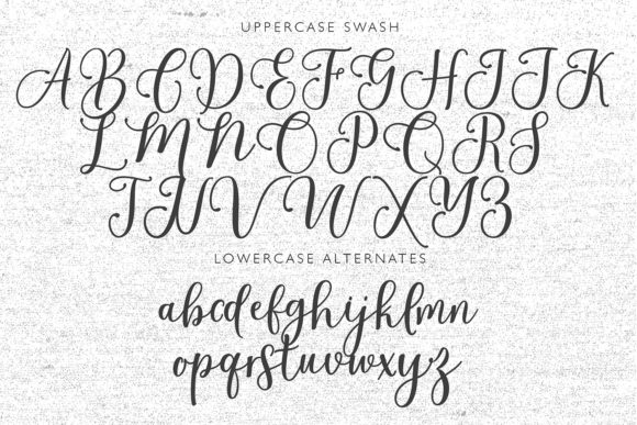Cabelita Script Font - Preview 6