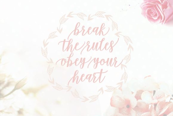 Damita Script Font - Preview 1