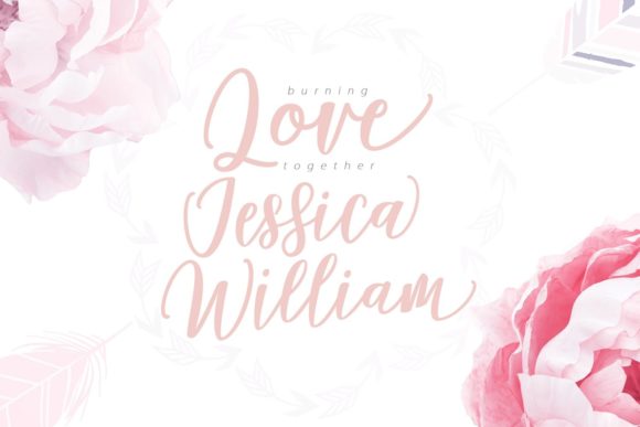 Damita Script Font - Preview 4