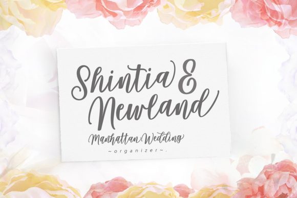 Damita Script Font - Preview 5