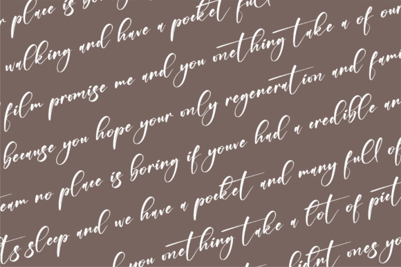 Holdiger Font - Preview 6
