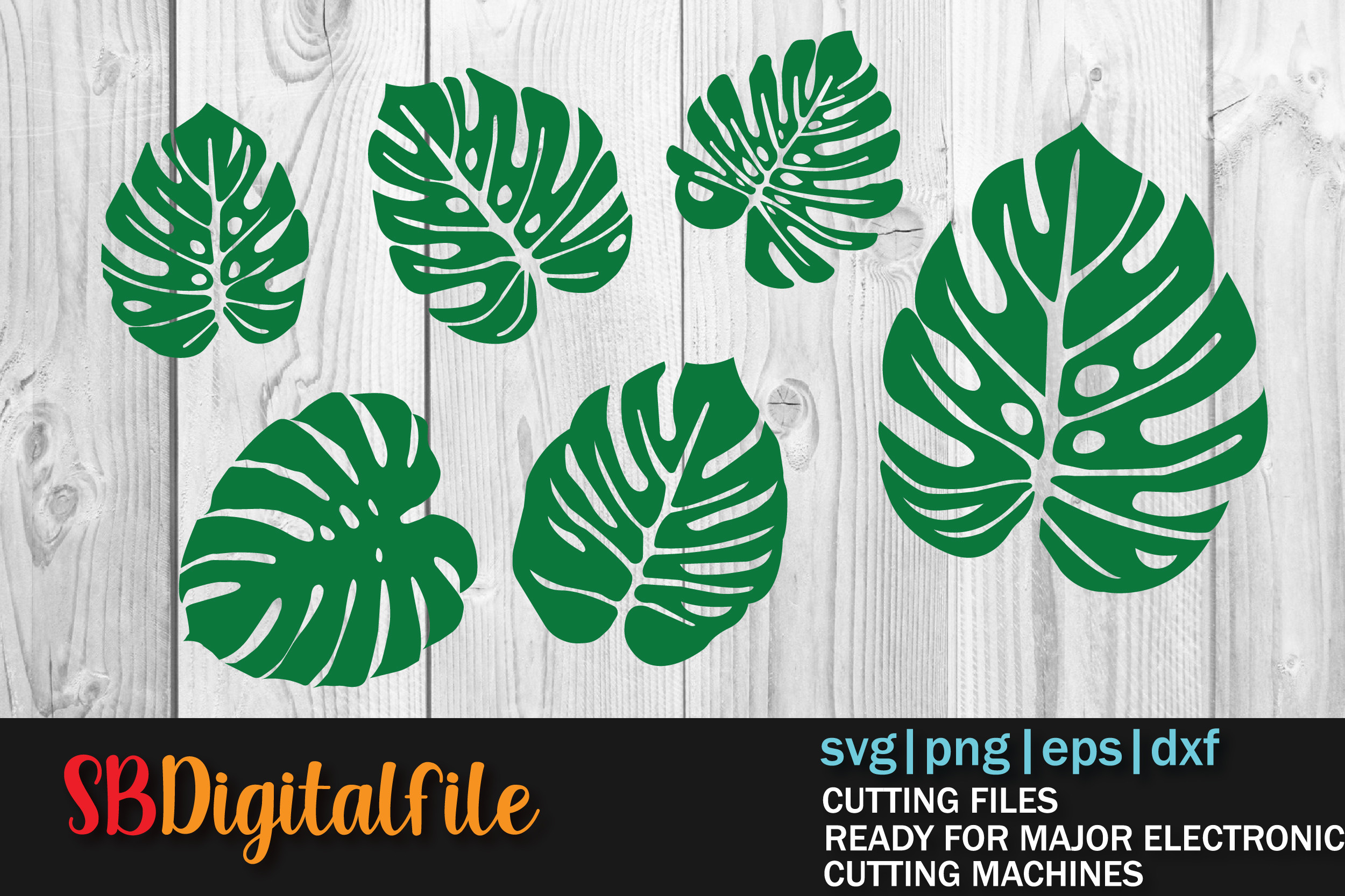 Monstera Leaf Svg Png Eps Dxf Bundle Graphic by SBDigitalfile  Creative  Fabrica